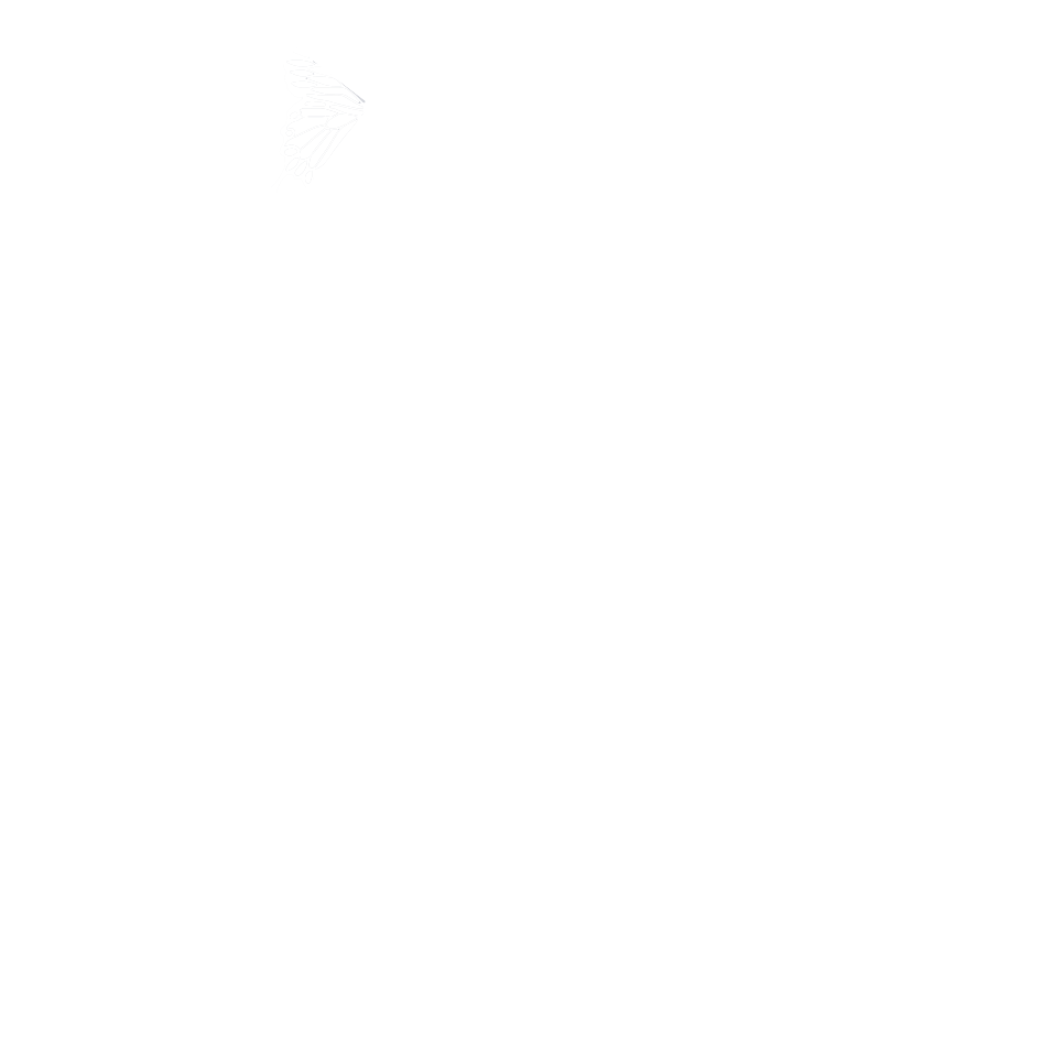 Kaleidoscopes.group